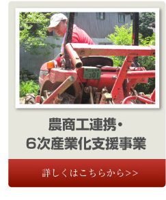 農商工連携・６次産業化支援事業